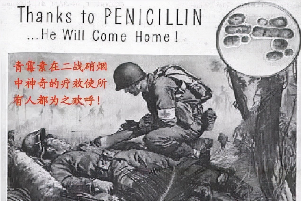 青霉素偶然发现给我们什么启发,青霉素的发现拯救无数生命