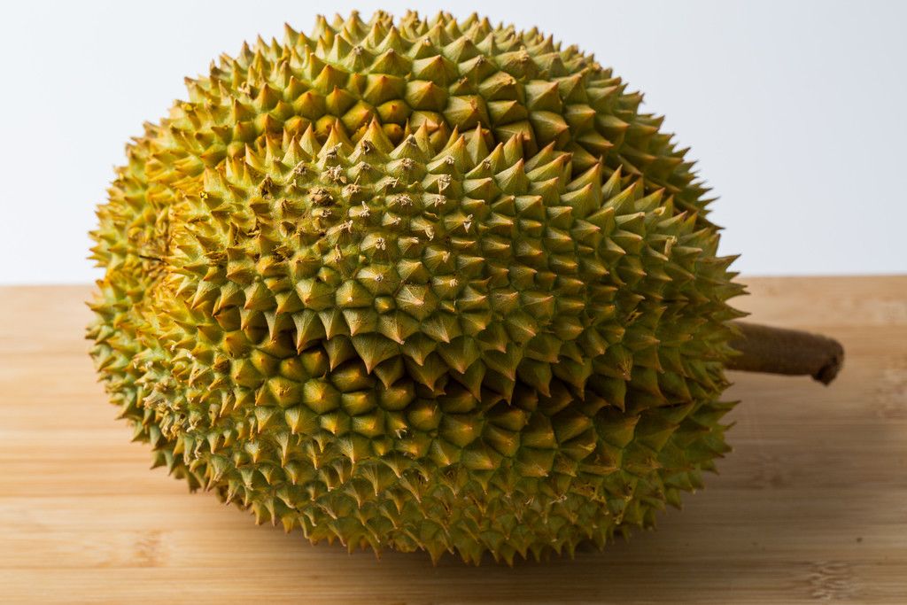 榴莲果树几年结果,榴莲是什么植物的果实