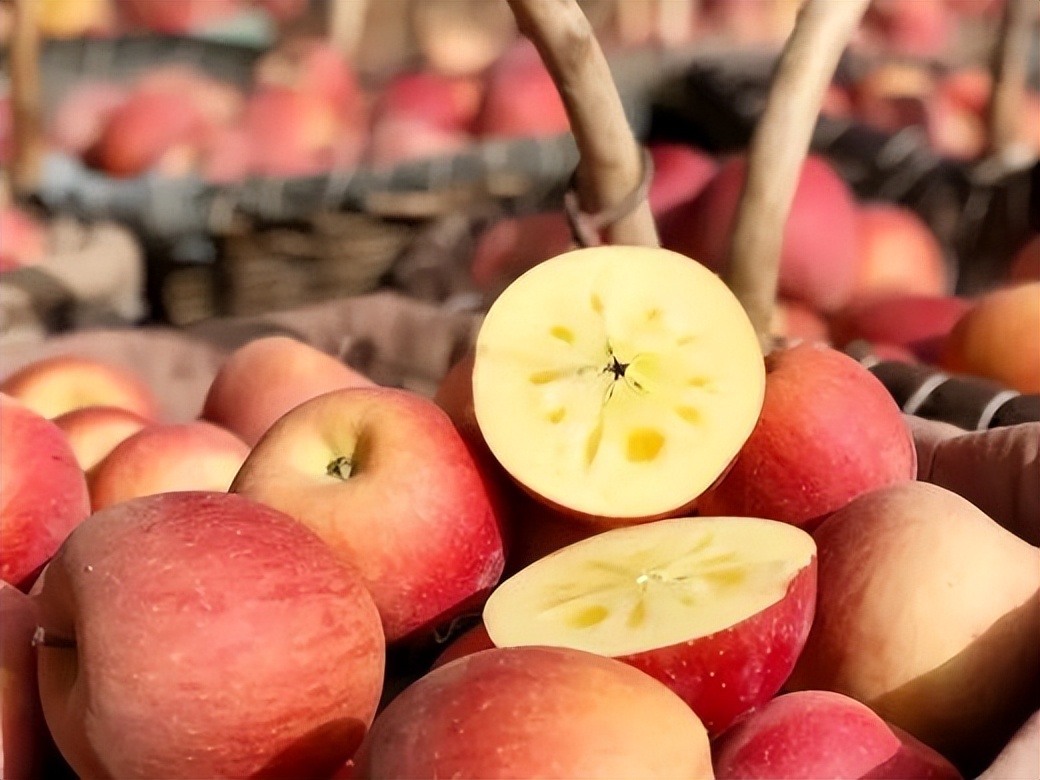 全国哪个省苹果最好吃,中国哪里的苹果最甜脆