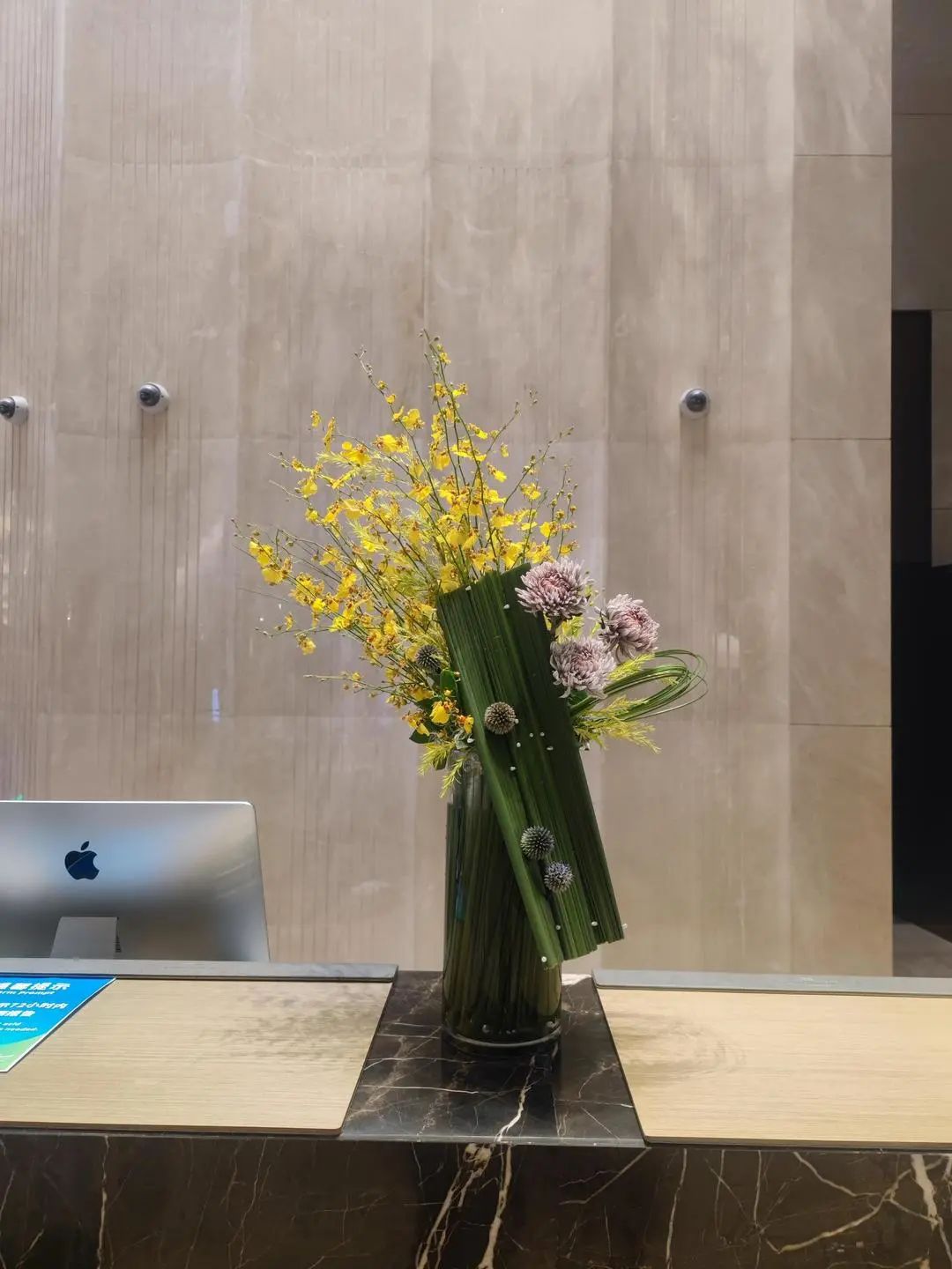 她只想回归自然，开花店却一年净利润50多万元——南宁小姐姐将理想照进了现实