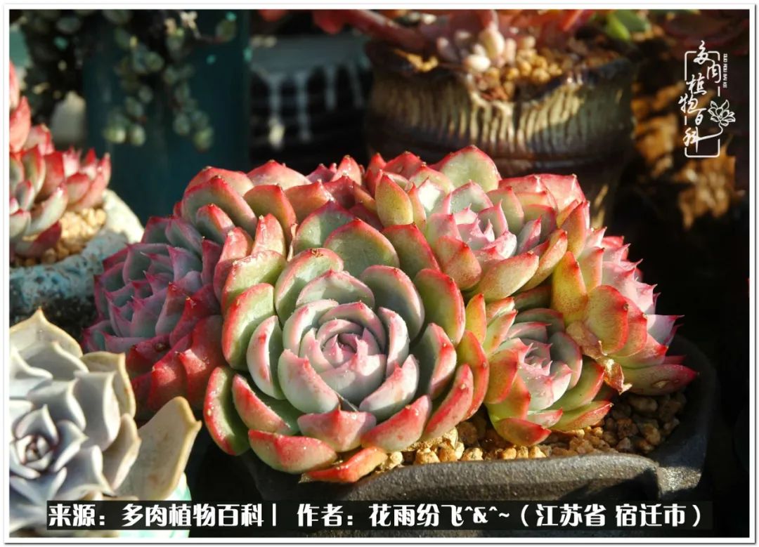 快乐的童年时光视频,回味快乐的童年美好的时光