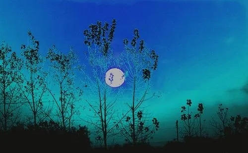 雪夜户外露营,雪夜歌曲