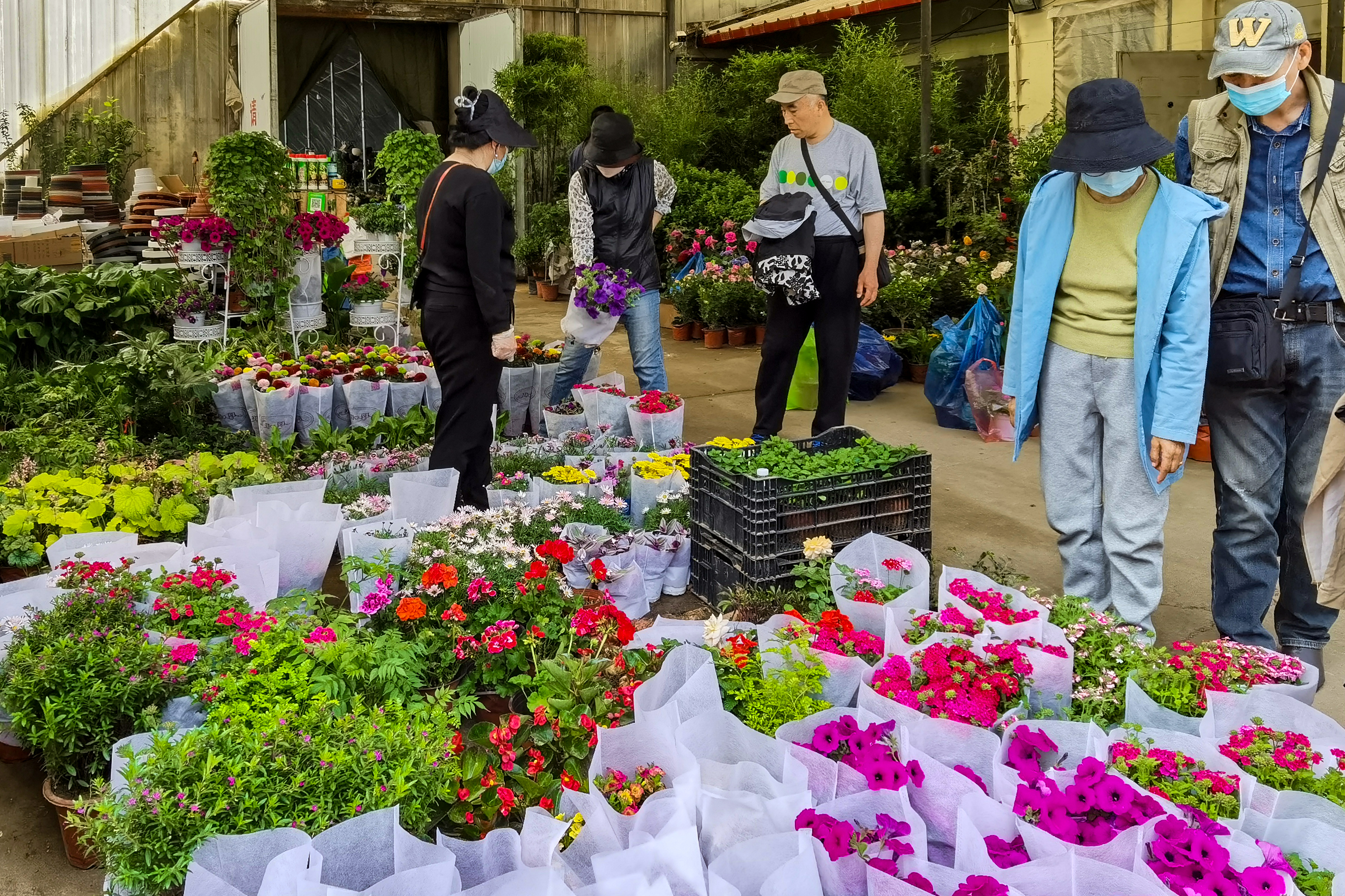 沈阳南井花卉市场,沈阳市南井花卉市场地址