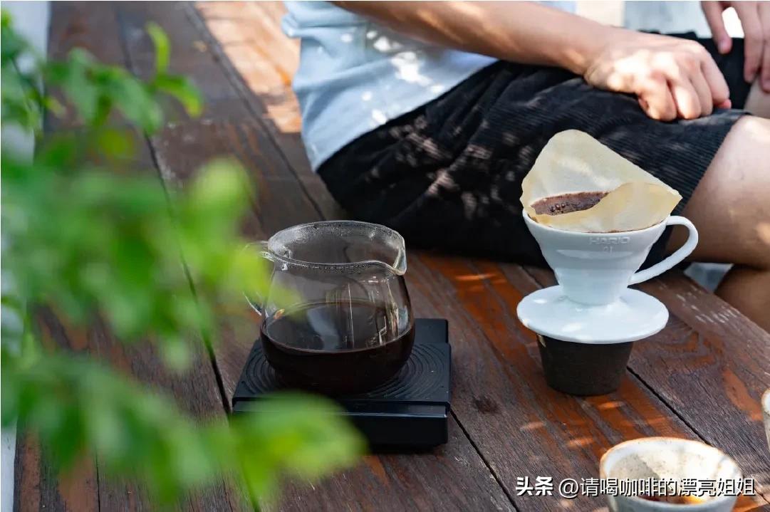 云南天皓庄园,云南天皓咖啡豆