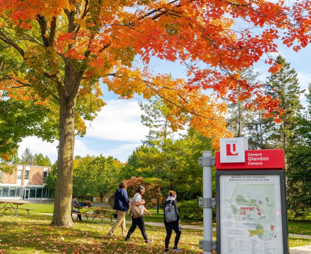 多伦多留学生日常,多伦多留学生的日常