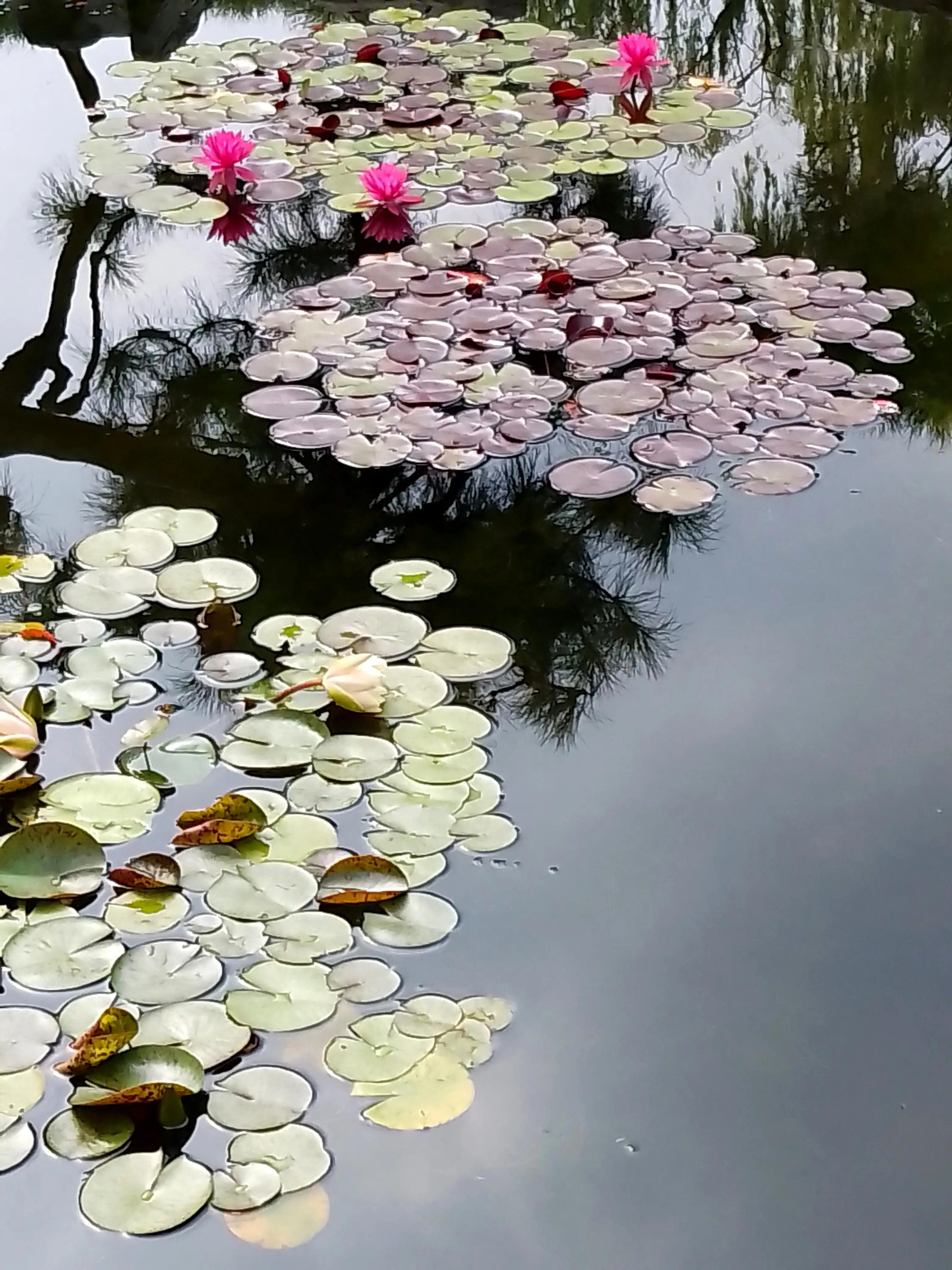 孤独寂寞随笔100字,一个人很寂寞随笔