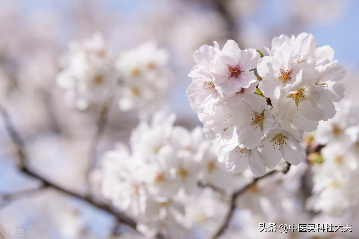 软男性格如何改变,软男的表现