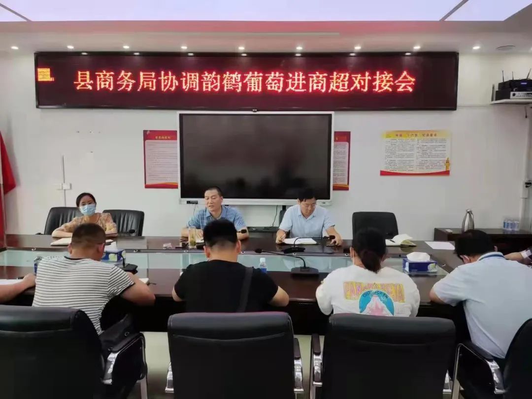 优质农产品葡萄丰收,葡萄丰收助力三农