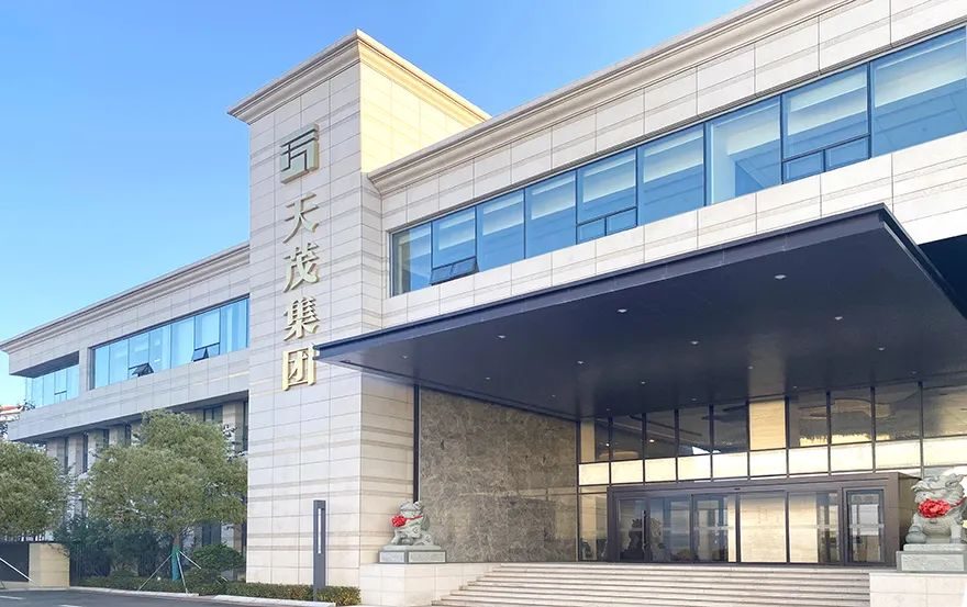 天茂集团股票为何疲软,天茂集团稳健成长