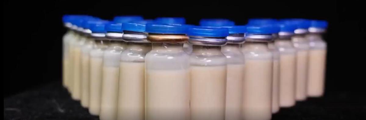 1992年，河北男子花30万买两只病鼠，几年后反而大赚8000万