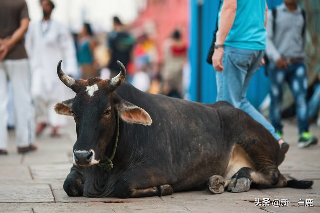 印度国家到底有多厉害,印度评全球前十最强国家