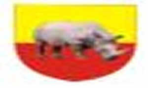 尼日利亚货币标识,尼日利亚军代表