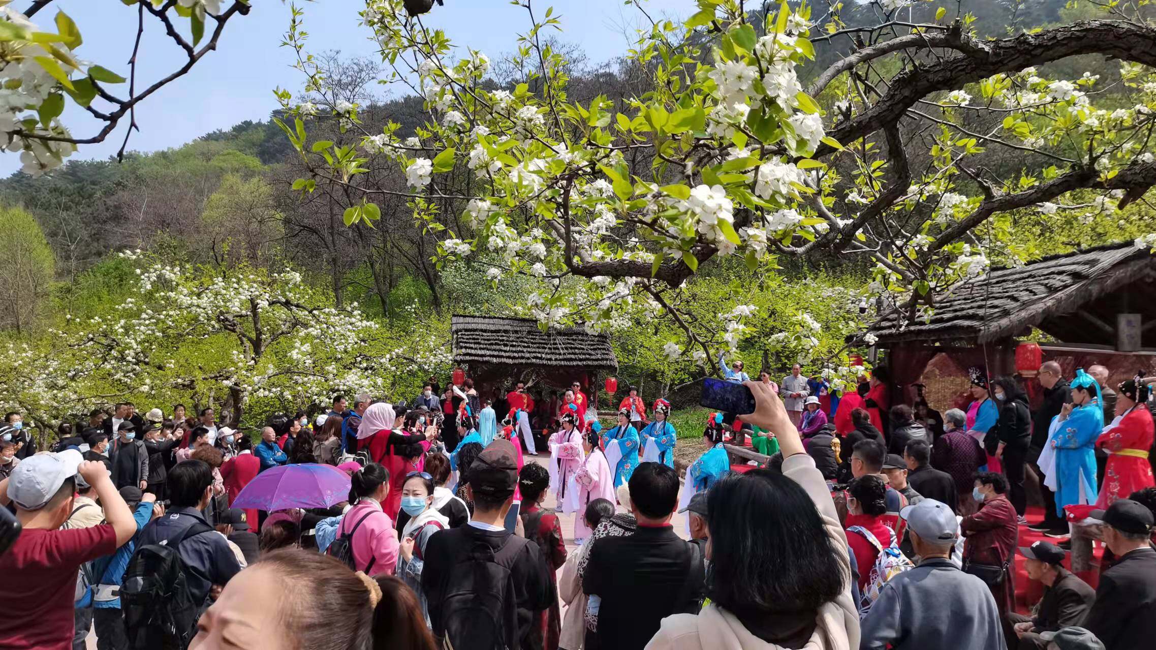 活力鞍山网络作品,鞍山市立山区文旅综合体