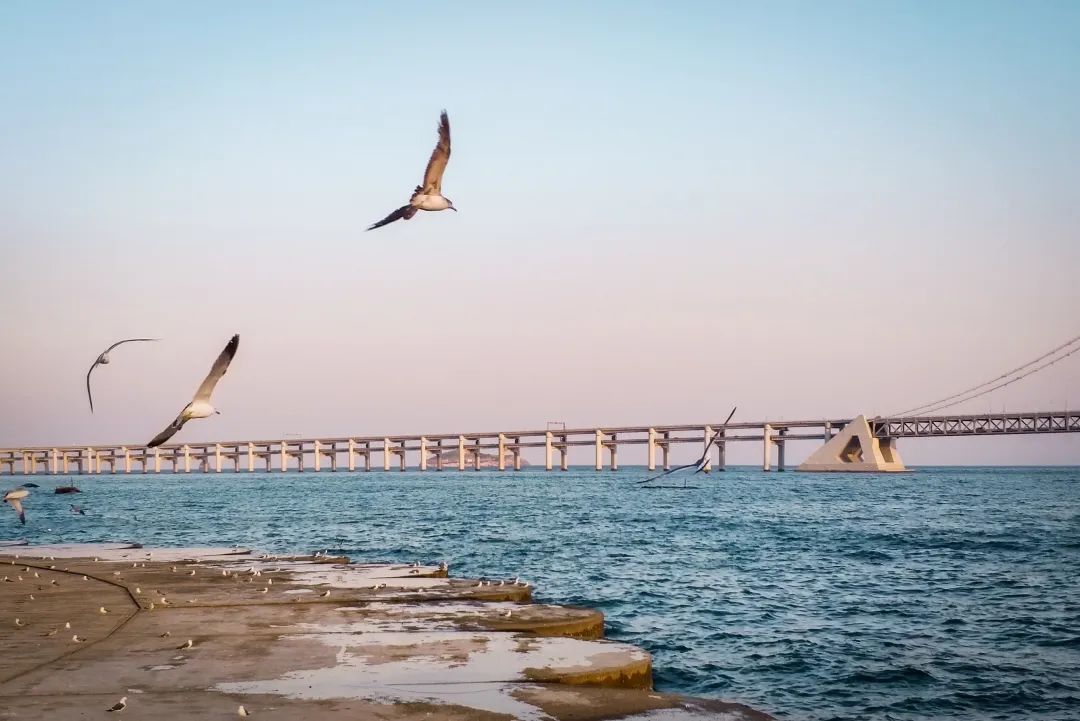 看过这些“珍藏”,小编被治愈了……