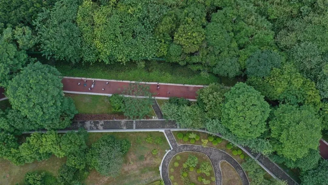 趣宝安旅游攻略,深圳宝安吃玩旅游攻略