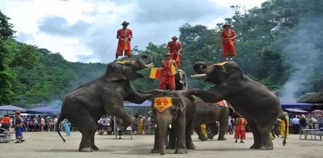 云南西双版纳旅游攻略app,云南西双版纳旅游攻略自由行12月