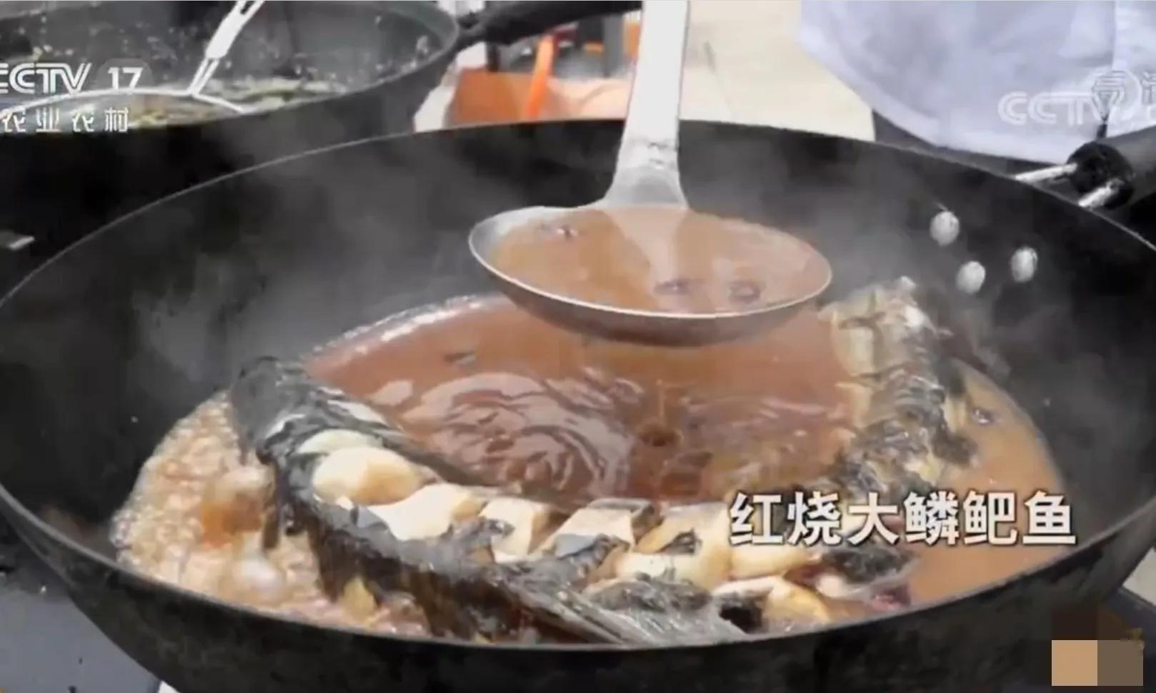 承包鱼塘也能年入百万,男子承包鱼塘后续