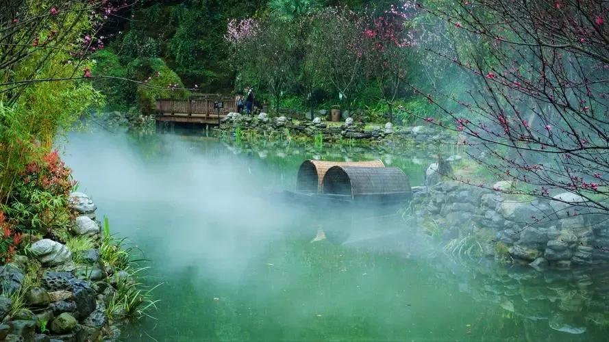 诗经桃夭的意思,诗经桃夭的意思是什么