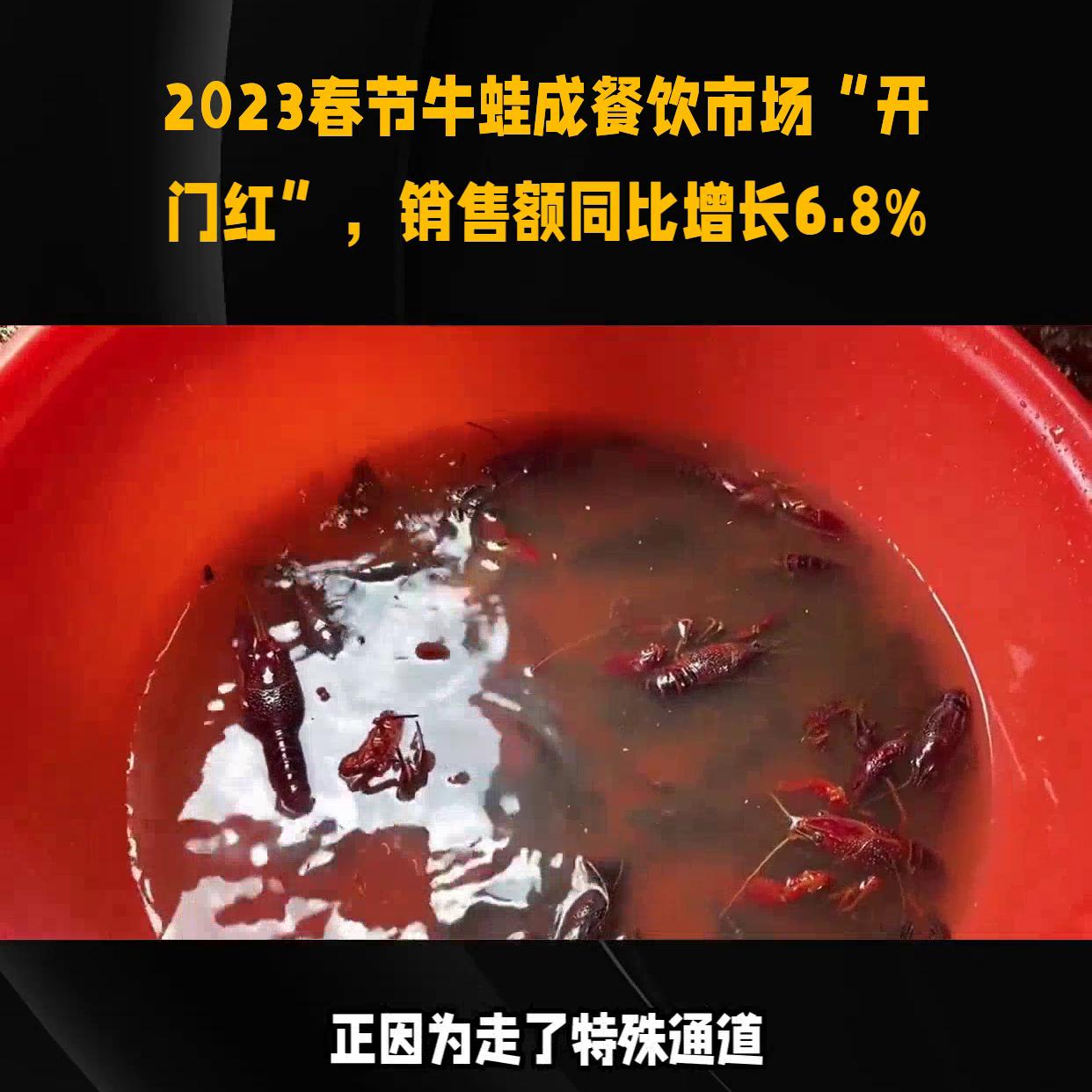 我国3月零售销售数据公布,2023年零售数据统计