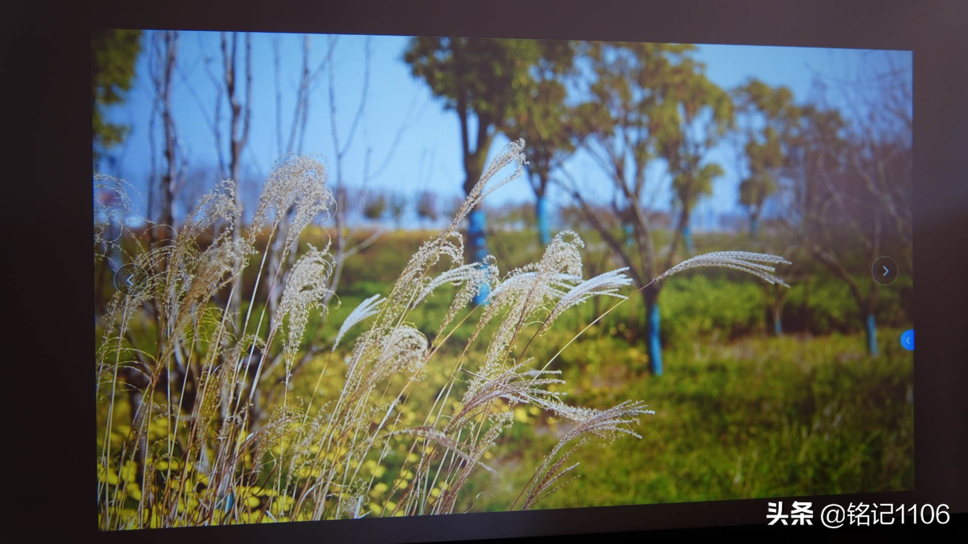 小明q1pro和小米投影仪对比,小明q1pro投影评测