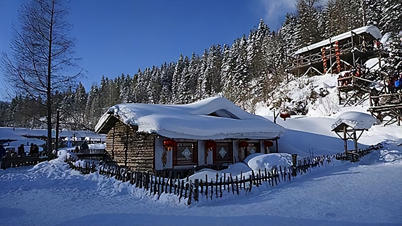 杨子荣之子杨克武,关于杨子荣的主要事件