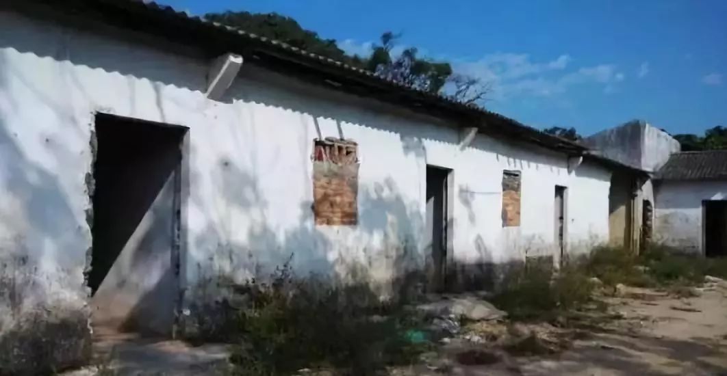 如何规划经营百亩农场才能更赚钱,共享农场模式1.9亩收入20万