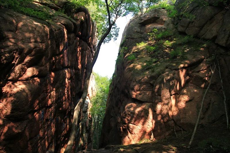 旅游避暑胜地冰城清凉之夏等你来,网友建议哈尔滨夏季避暑旅游