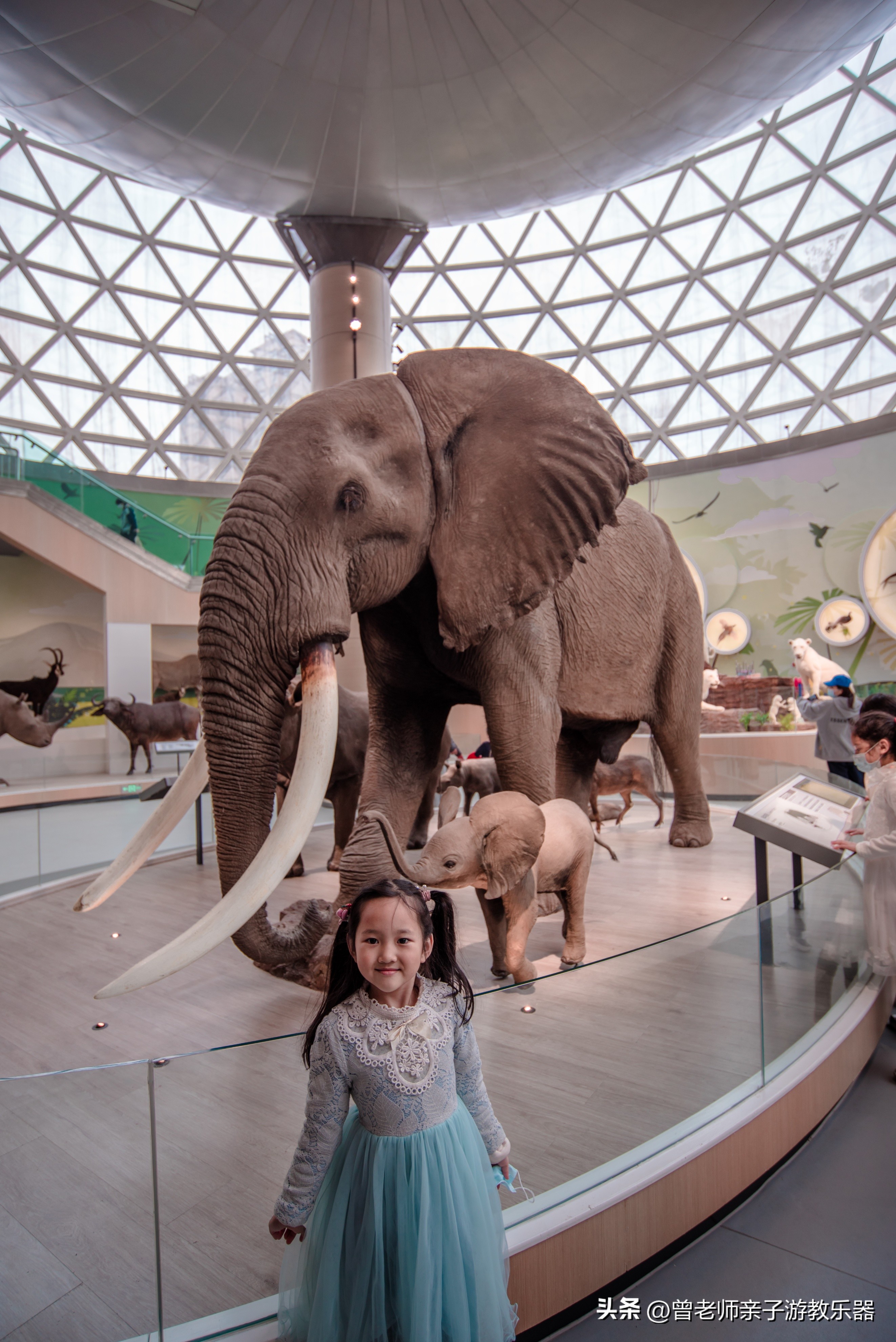 西安2023旅游攻略,2023年西安必去景点