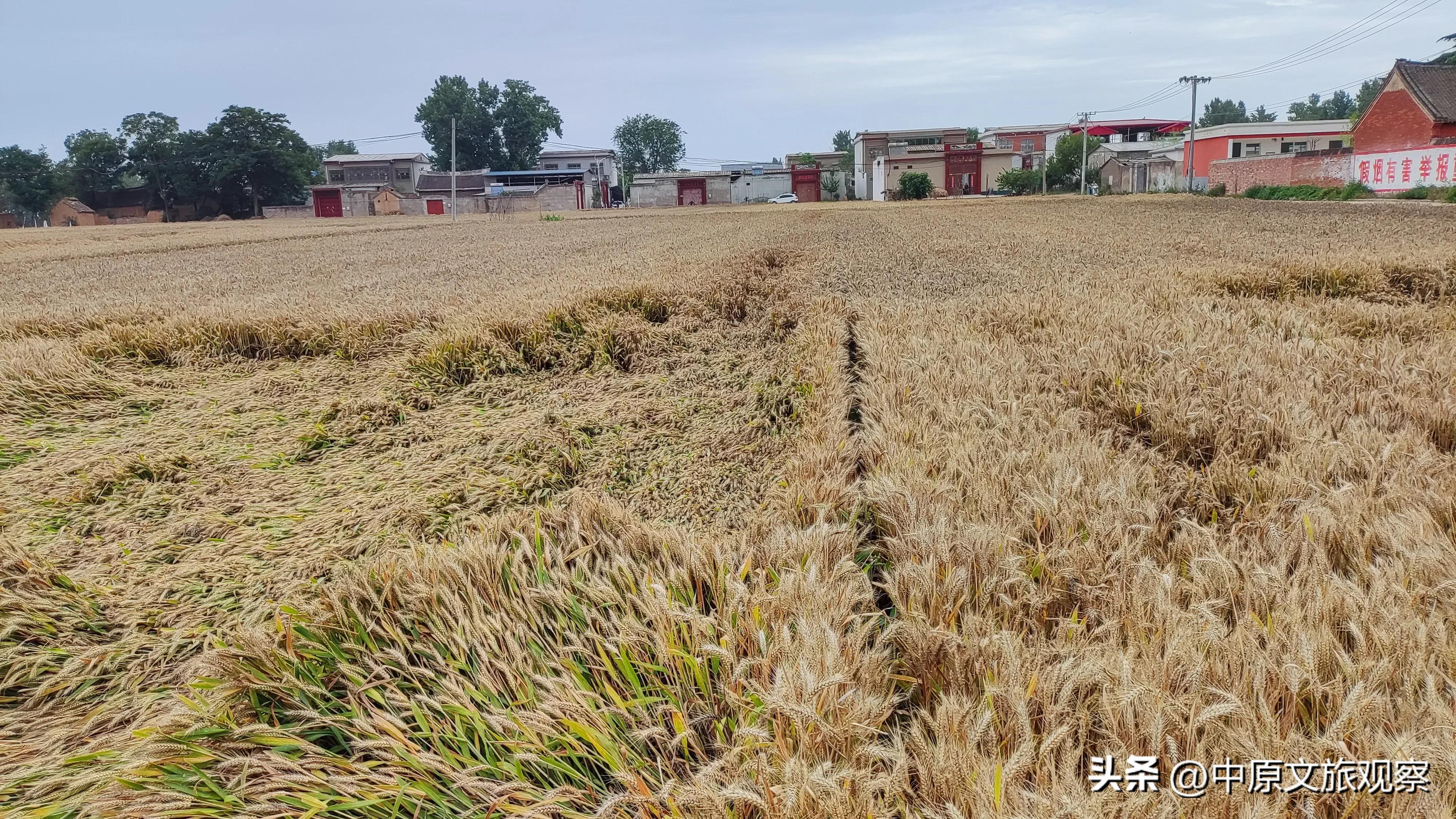 走出高考遗憾，努力做好当下，才能做好自己难忘的大学经历