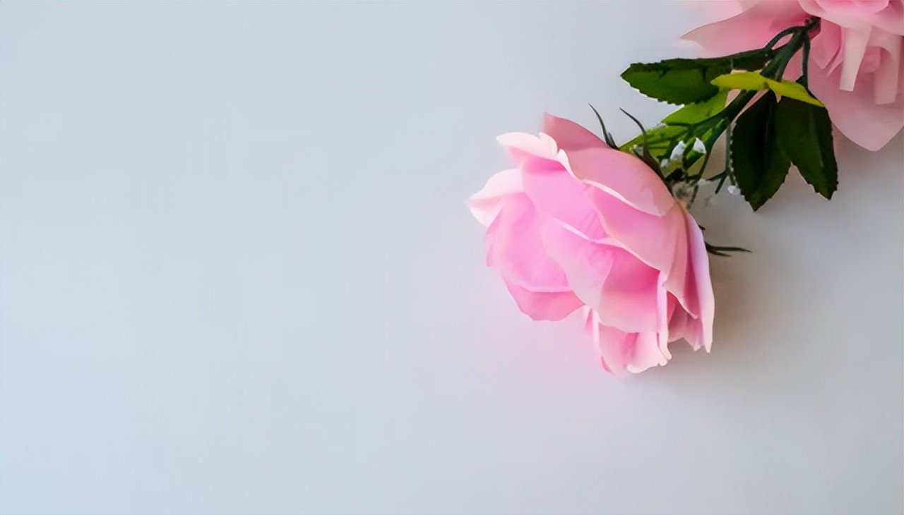 如果有一天表白了你会怎么样,如果有一天有一个男孩跟你表白