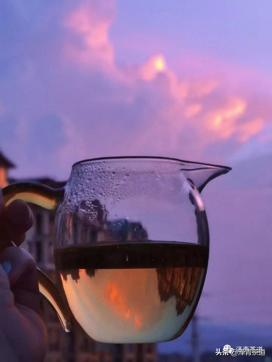 伏天喝什么养生茶最好喝,泡好一杯茶安享三伏天