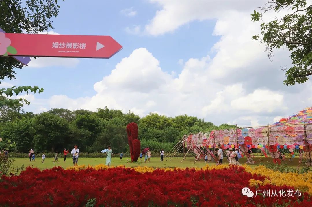 好想在从化结婚！好靓啊啊啊~