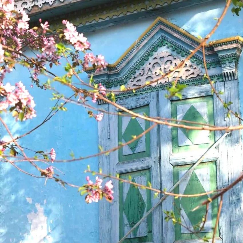 那拉提空中草原雪景照片,大草原的壮丽雪景图