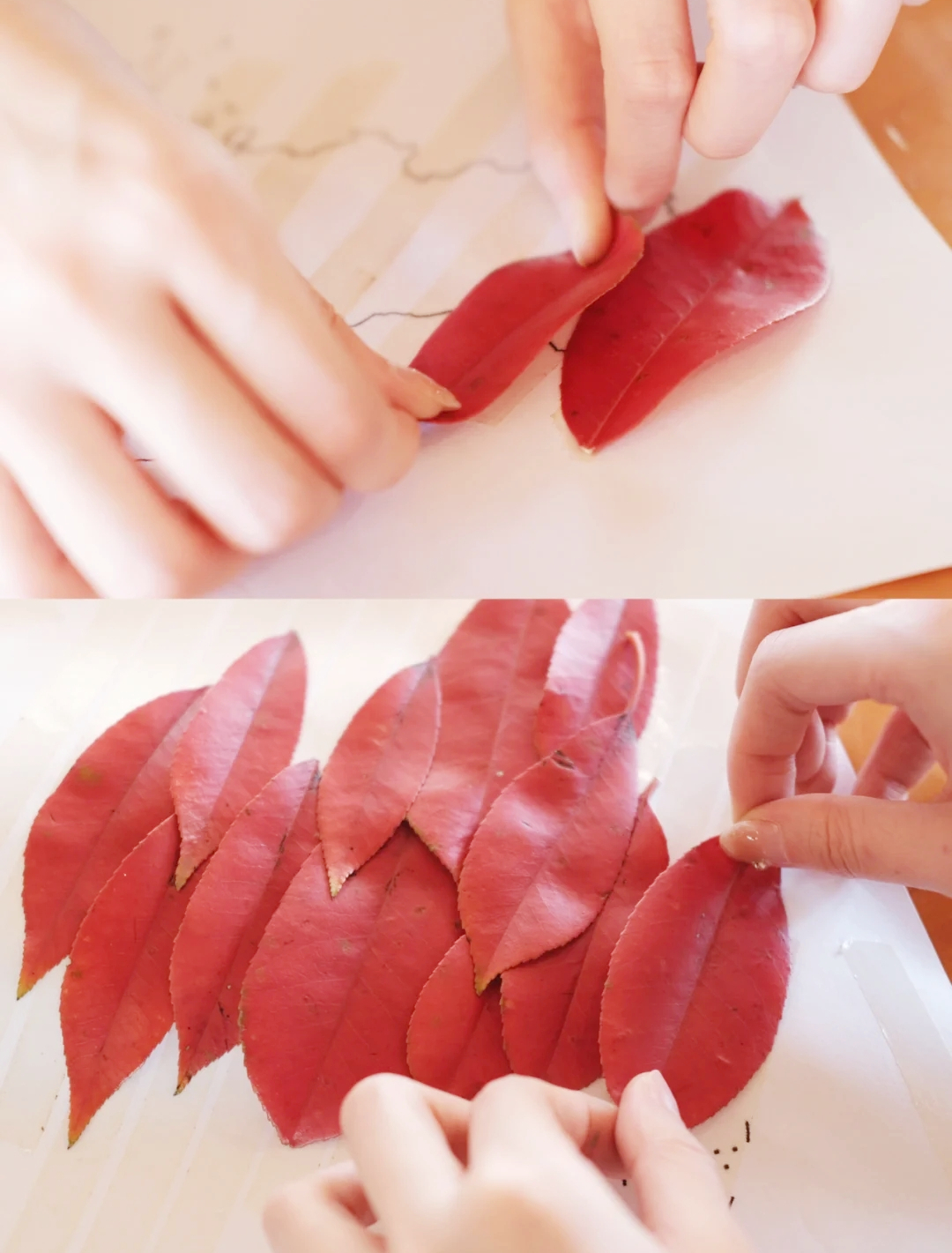 小白都能做的国庆手工,国庆升旗仪式手工制作美篇