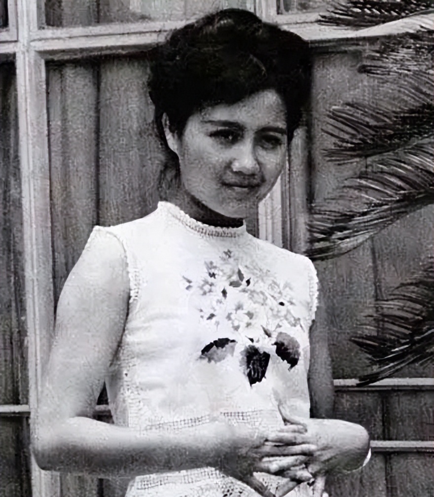 赌王何鸿燊800万,赌王何鸿燊去世谁来抬棺