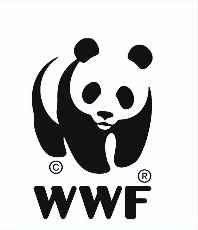 丫丫即将回国：国宝熊猫，在如何改变世界？