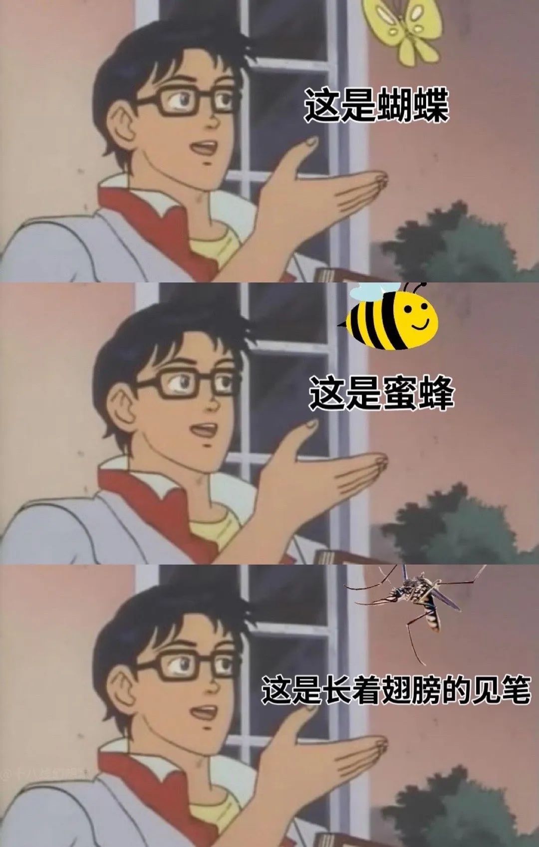 o型血的人最容易被蚊子咬吗,蚊子最爱o型和b型血