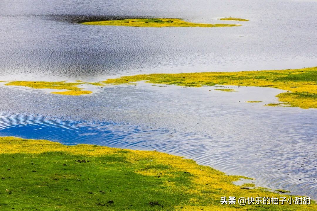绌胯秺鍥涘ぇ鏃犱汉鍖哄彲鍙タ閲岀涔濆ぉ,鍙彲瑗块噷鏋侀檺涔嬫梾