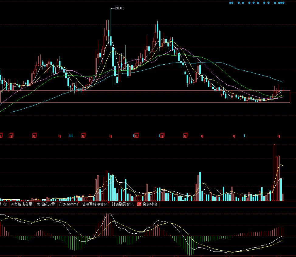 002051中工国际财务,002051中工国际