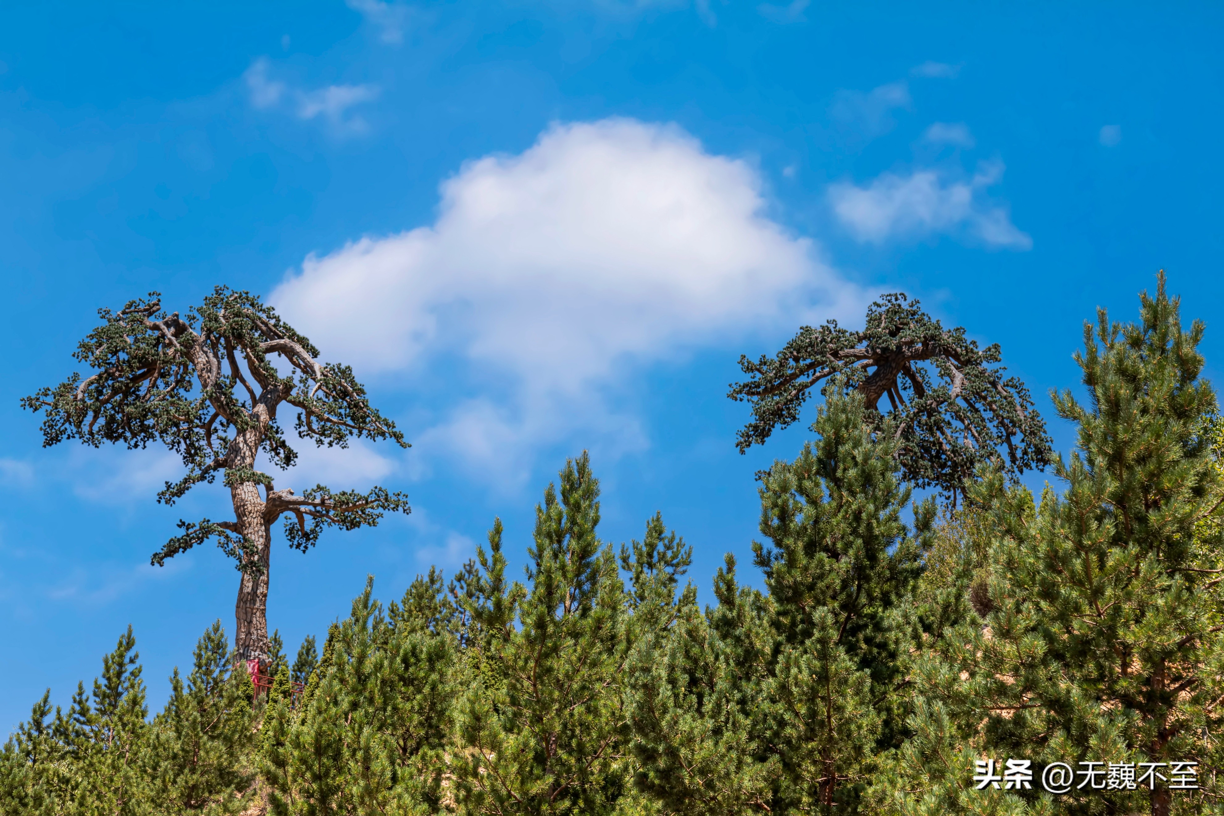 北岳恒山攻略冬天,北岳恒山游玩需要多长时间