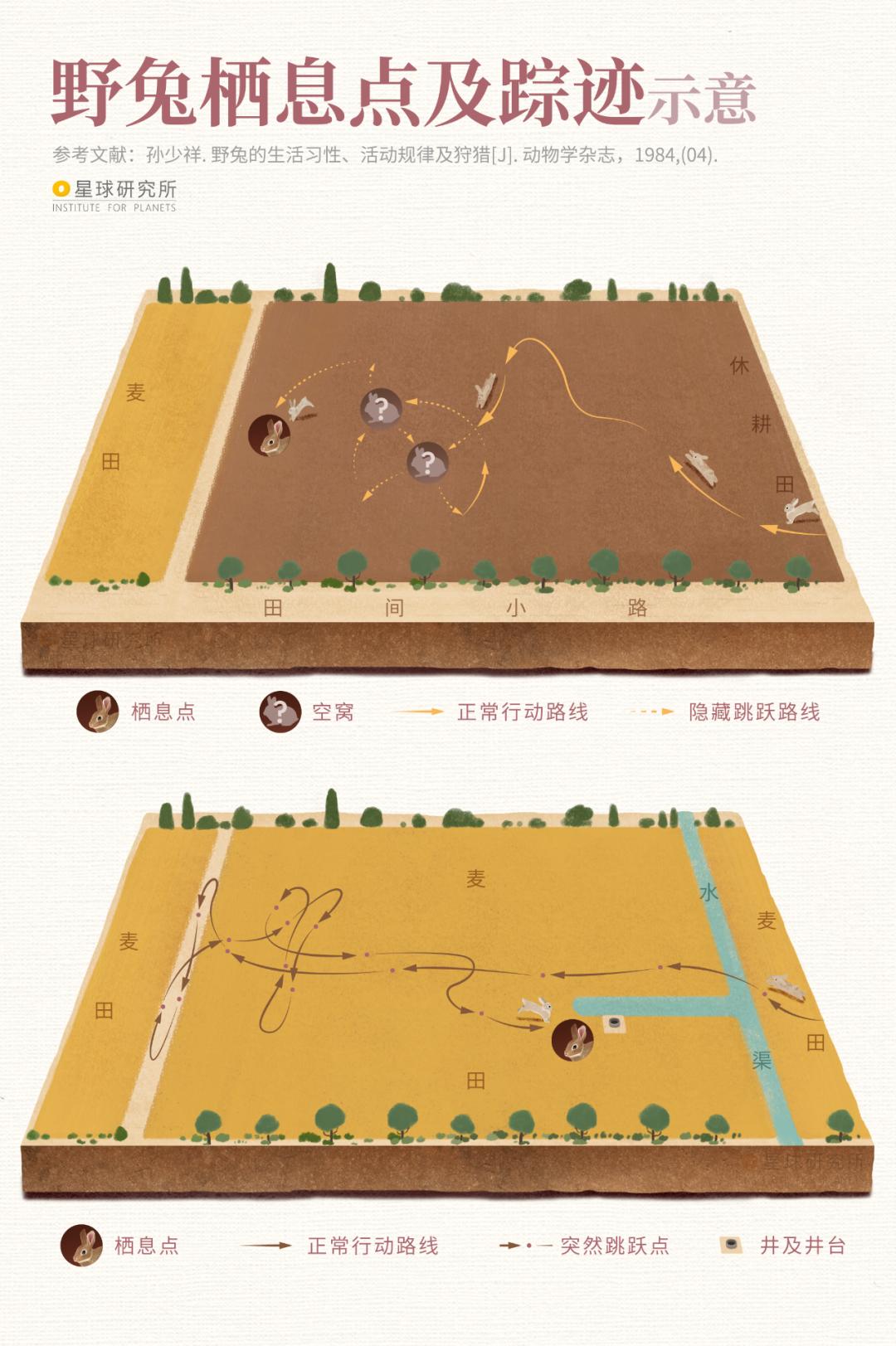 兔年来了,兔年来了怎么样