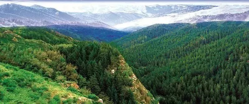 到甘肃旅游报价,到甘肃必去景点