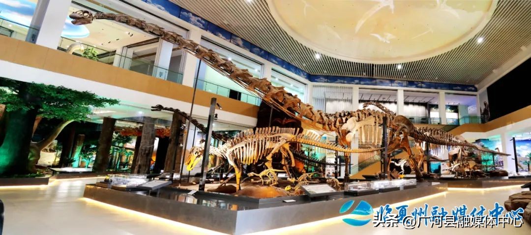 临夏回族自治州博物馆纪念物,临夏博物馆里有什么