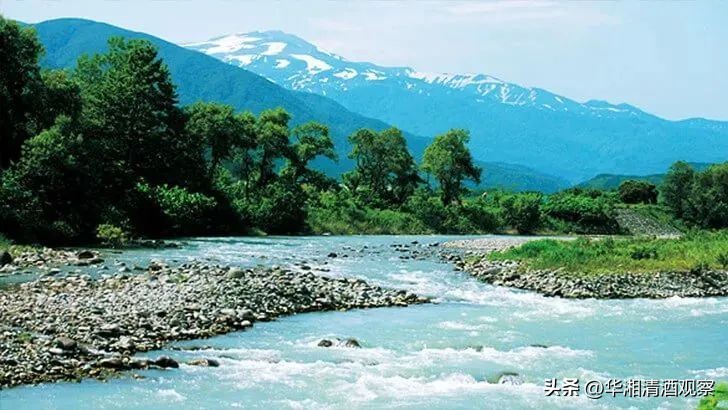 真正的山形地酒——出羽燦燦的诞生纪念