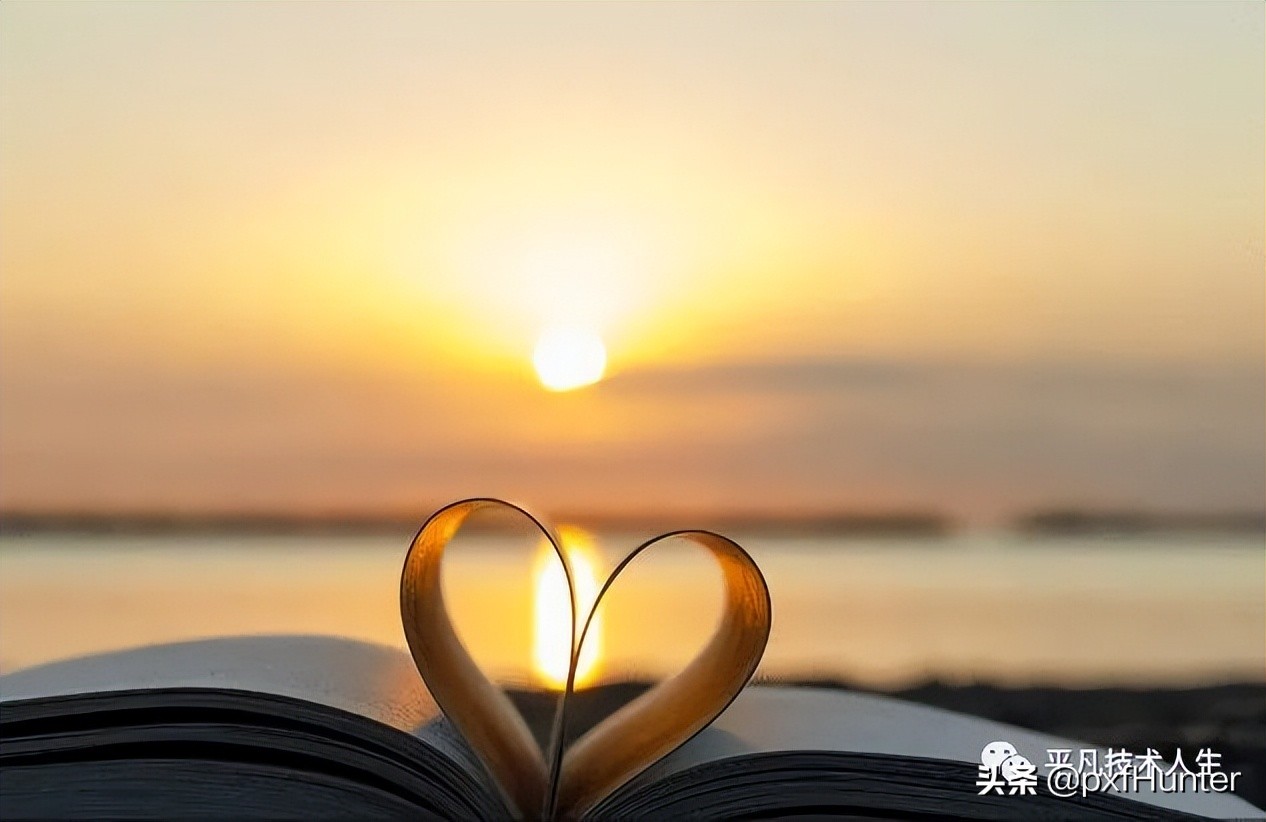 始于颜值陷于才华演讲,始于颜值陷于才华原版