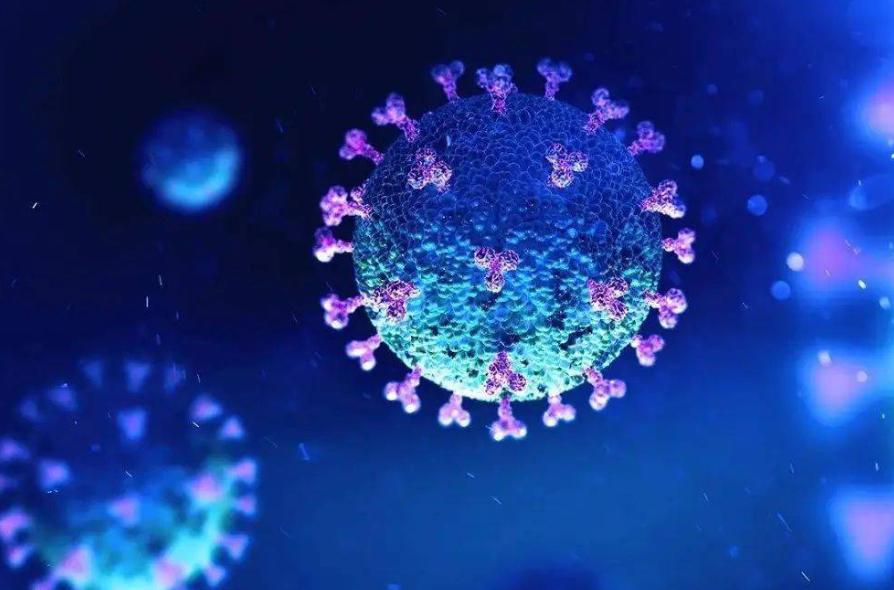 阻断新冠感染的药物,新冠特效药可以阻断传播吗