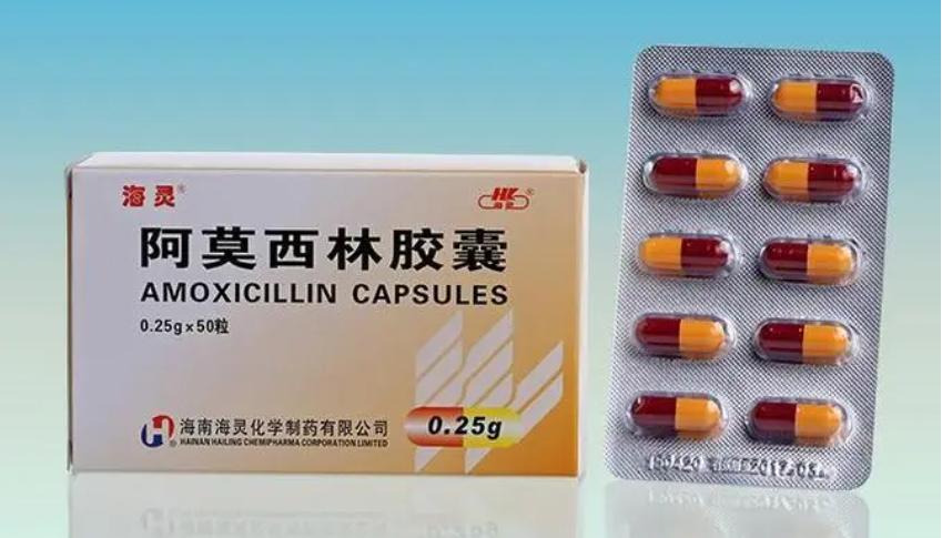 兑水浇花怎么不烂根,不管什么花勤浇水就没错