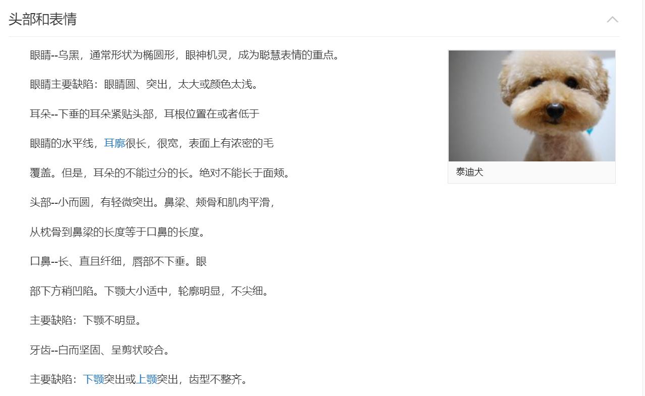 同一窝泰迪,同一窝小泰迪怎么挑选