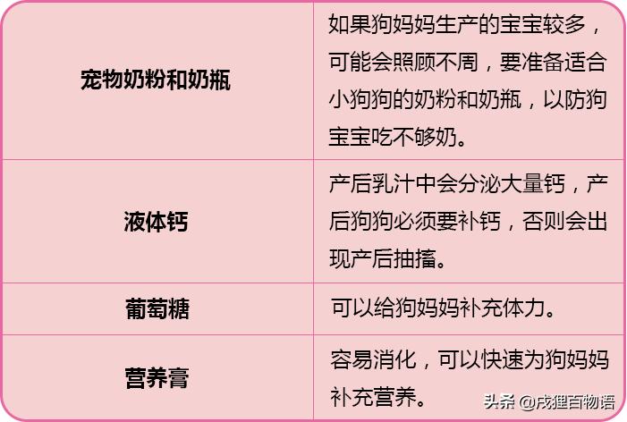 狗狗快生产了,狗狗快生产了肚子很硬