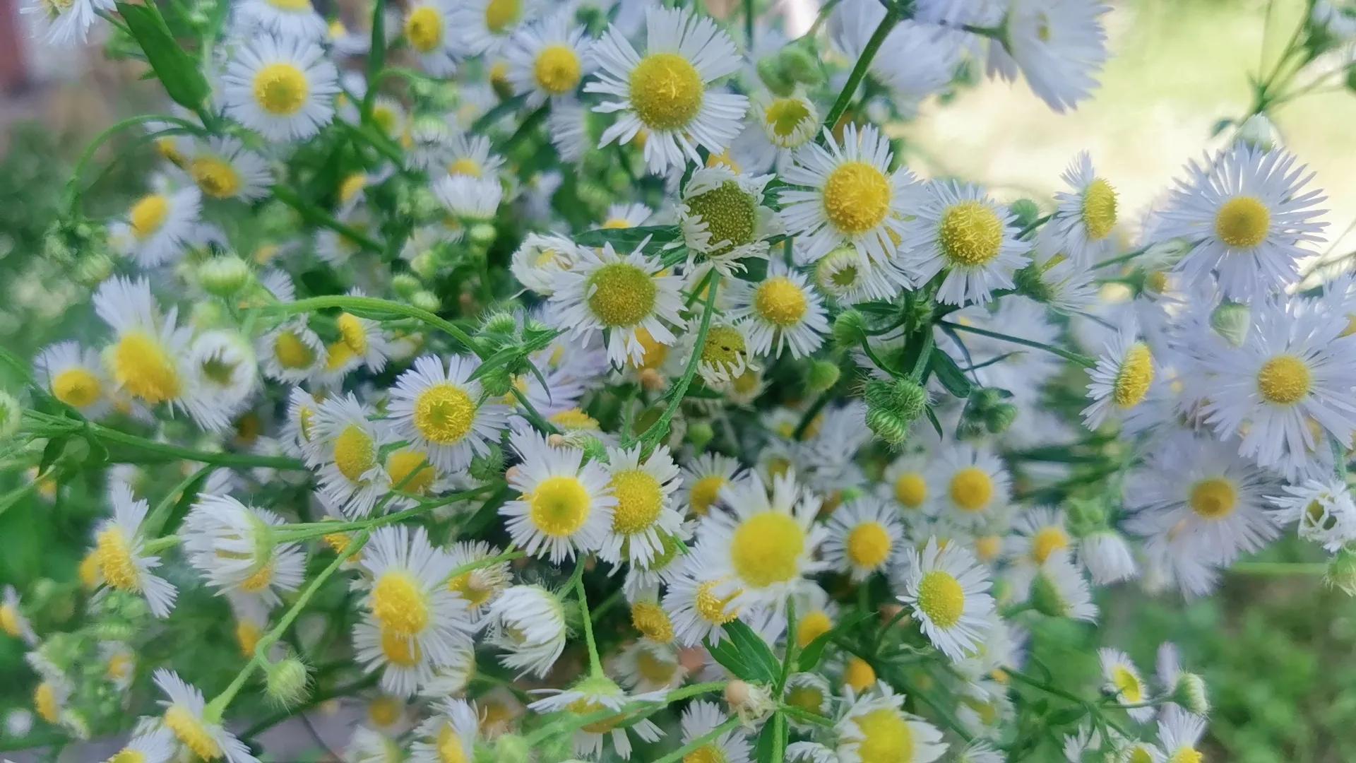 2022年的最后一个月，我被骂的狗屎不如，网暴有多可怕